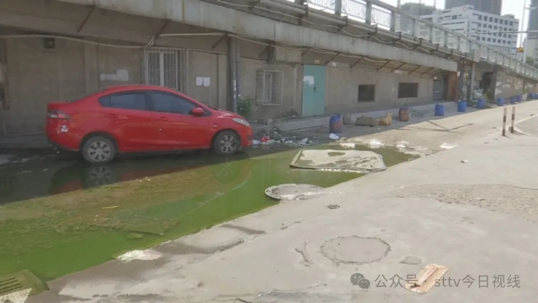 辅道路面常积水  孳生蚊虫存隐患