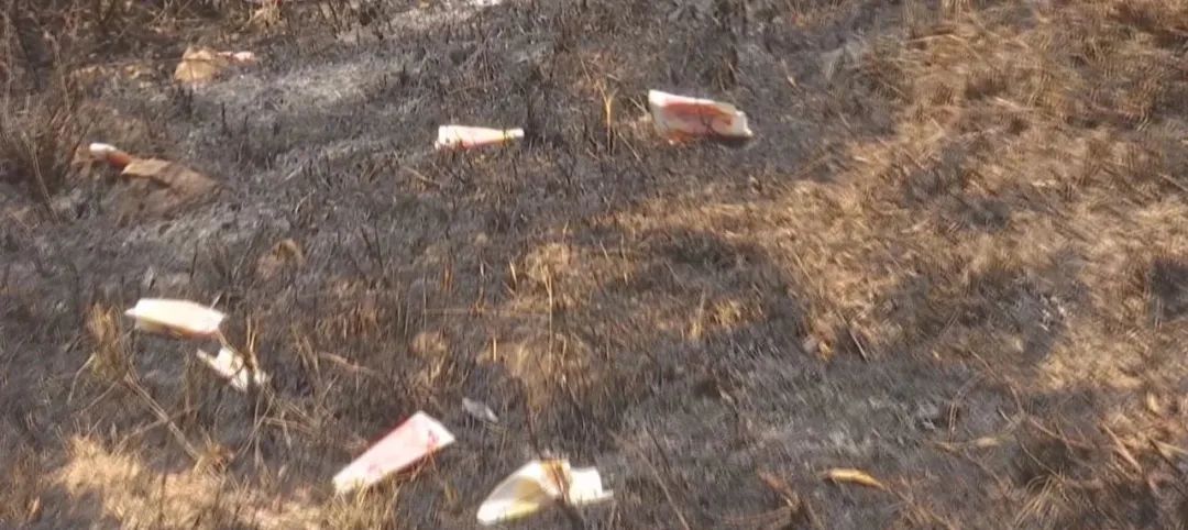 扫墓引发山火   一人被严肃处理