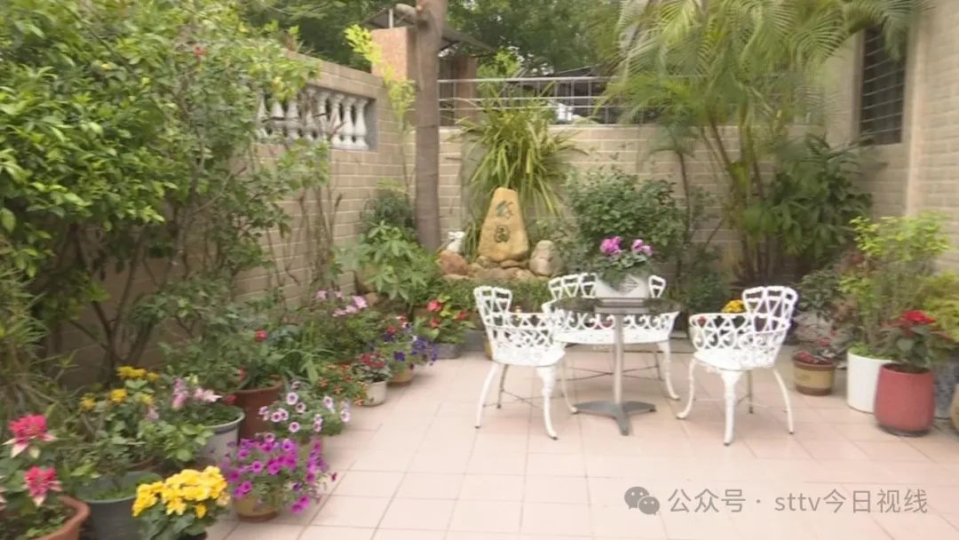 打造“美丽庭院”  绘就大美乡村