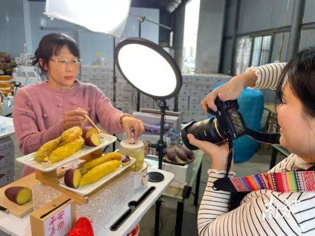 濠江:村企双向奔“富”谋振兴