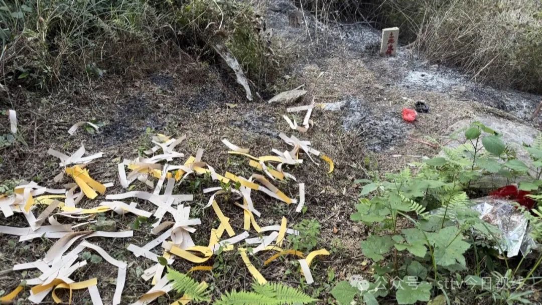 上山扫墓引山火  一人被警方拘留