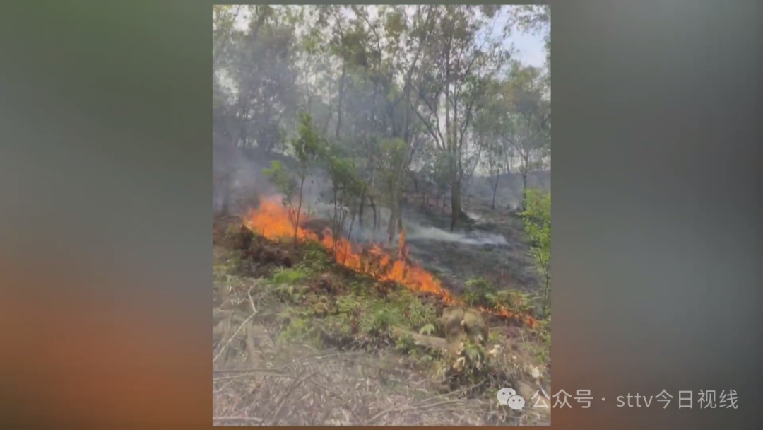 扫墓引发山火  一村民被追责