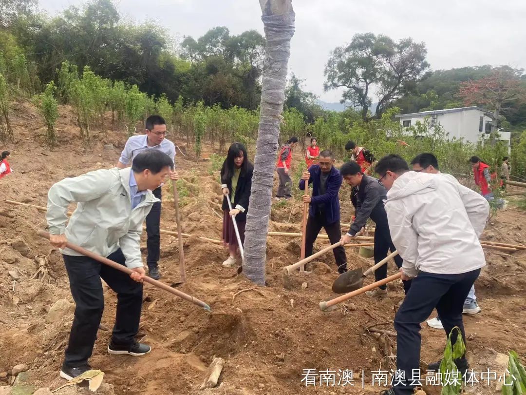 南澳县深澳镇开展“我为南澳种棵树”主题植树活动