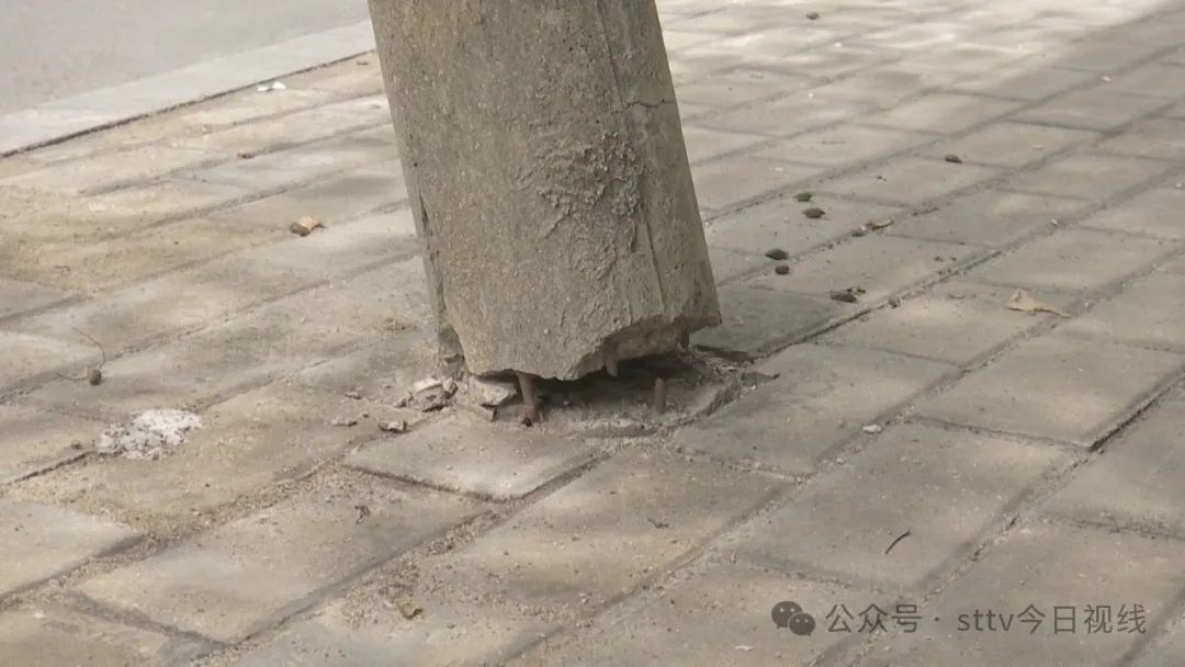 底部断裂电线杆  如若倒伏恐伤人